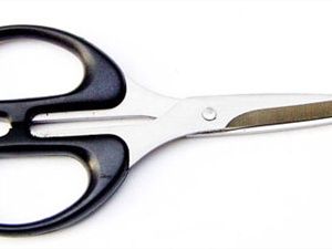 BSD Racing Scissors
