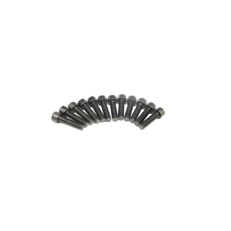 S008 Cap Head Hexagonal Screw 3x12mm (12)