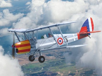 Aircraft ICM 1/32 DH.82A Tiger Moth of the World Air Forces