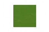 Semi-Gloss Interior Green Hobby Colour