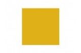 Metallic Gold Hobby Colour