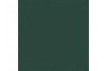 Semi-Gloss Dark Green 2 Hobby Colour
