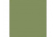 Semi-Gloss Hemp BS4800/10B21 Hobby Colour (Discontinued)