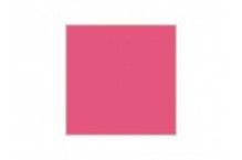 Gloss Pink Hobby Colour