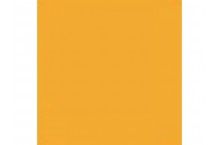 Gloss Yellow FS 13538 Hobby Colour