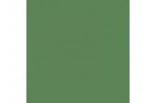 Semi-Gloss RLM82 Light Green Hobby Colour