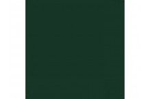 Semi-Gloss RLM80 Olive Green Hobby Colour