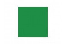 Gloss Emerald Green Hobby Colour