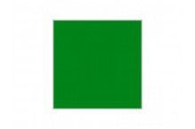 Gloss Bright Green Hobby Colour