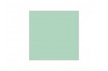 Gloss Pale Green Hobby Colour