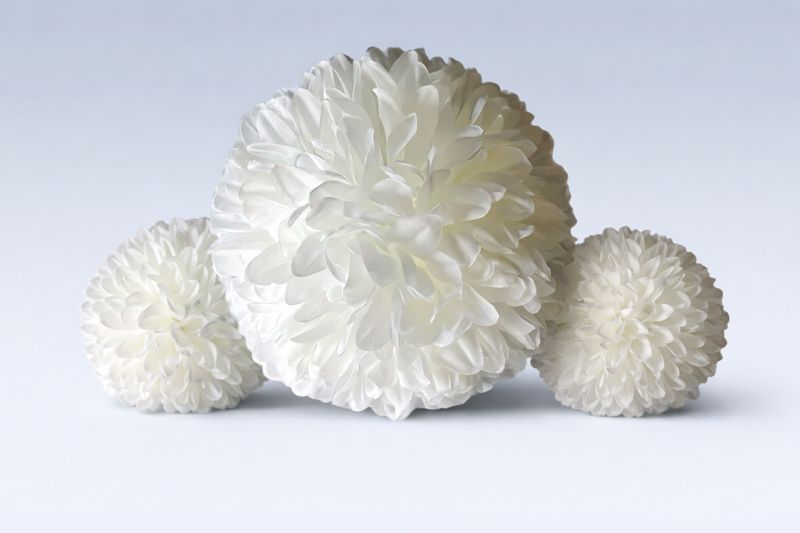 Plus 1 Mum Flowers