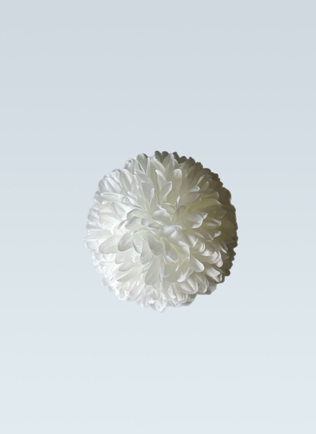 4" 10 Layer Mum -- Plus 1 Brand