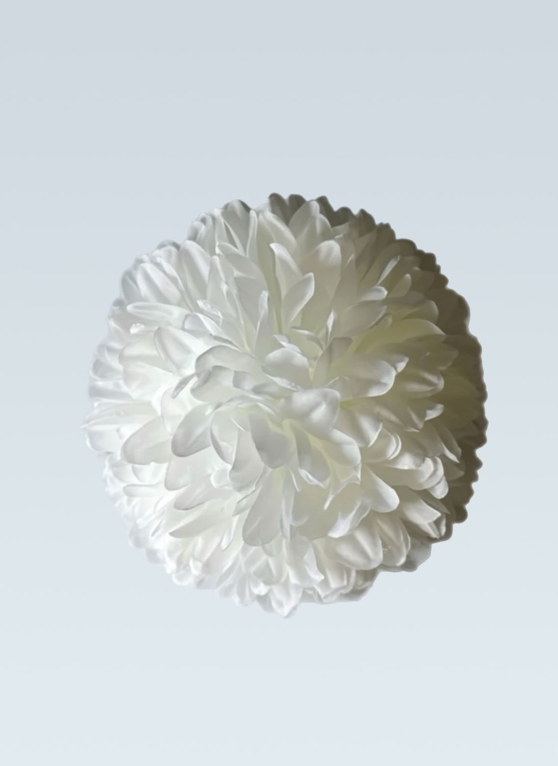 5.5" 16 Layer Mum -- Plus 1 Brand