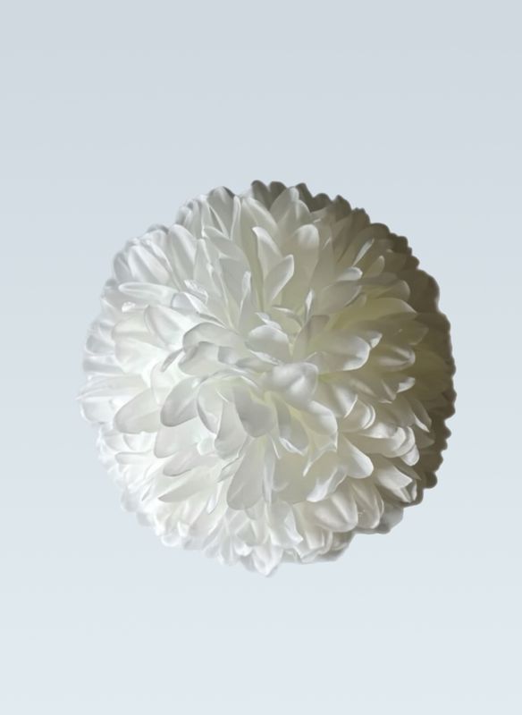 5.5" 16 Layer Mum -- Plus 1 Brand