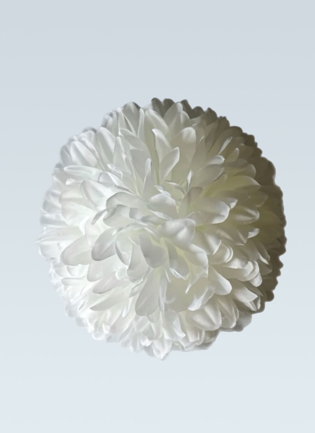 6.5" 16 Layer Mum -- Plus 1 Brand