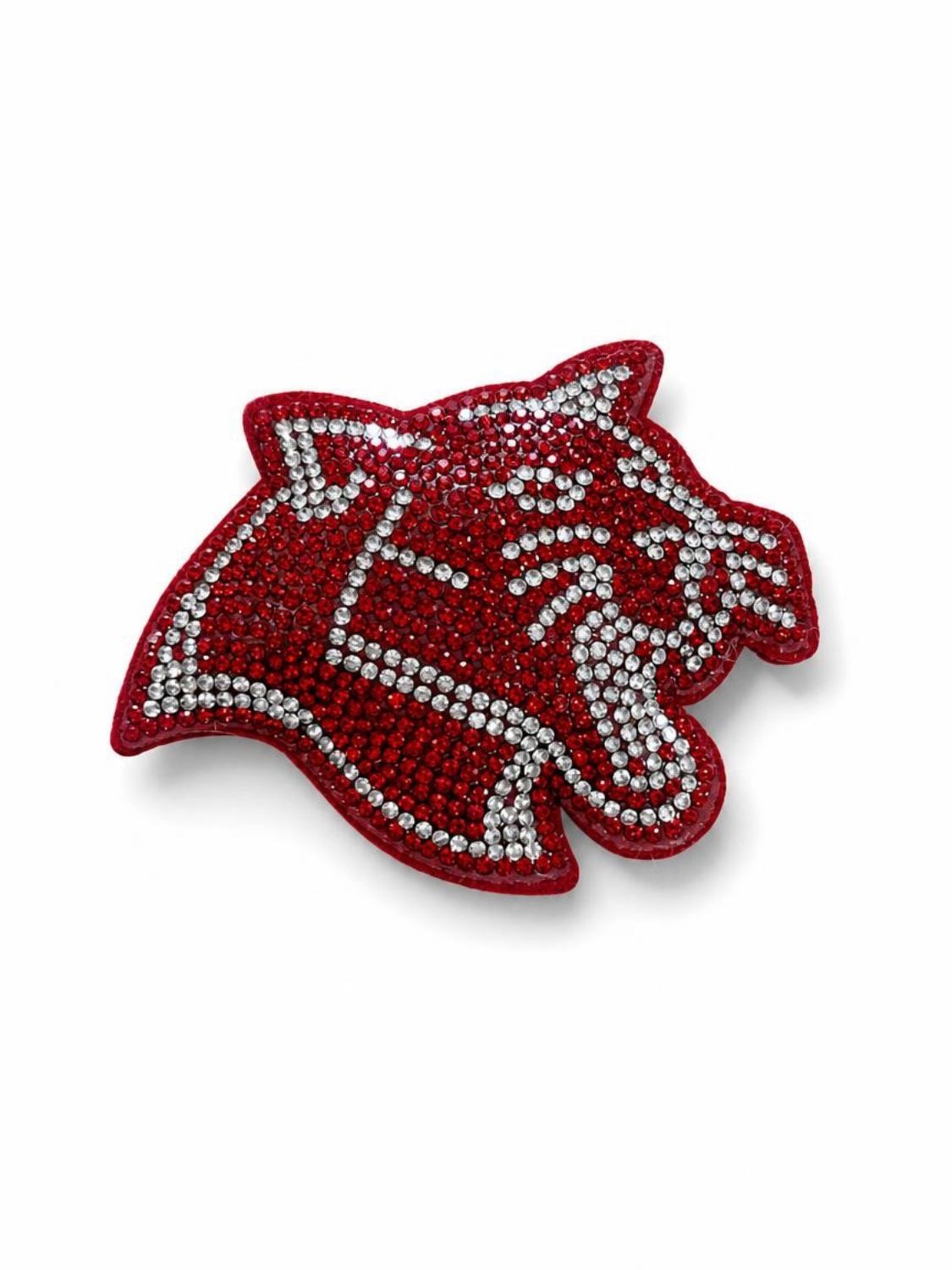 Cougar Mascot