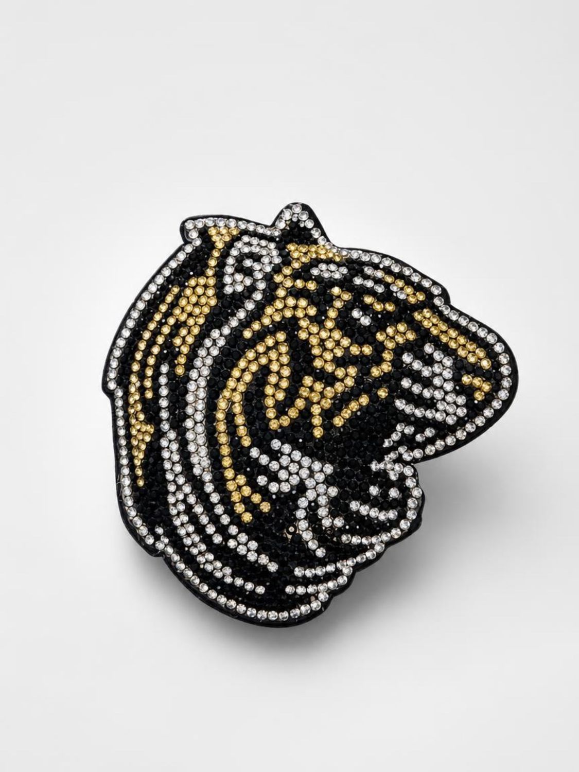 Tiger Mascot