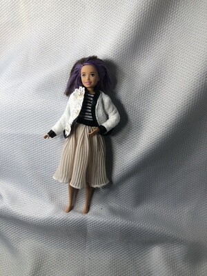 Barbie's sister, skirt, jacket, shirt.

