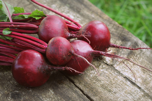 Beetroot (500g) بنجر Beetroot (500g) بنجر