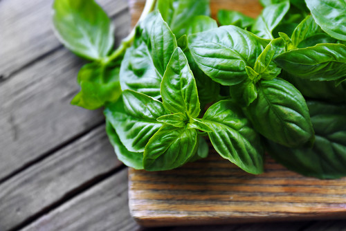 Italian green basil (50g) ريحان اخضر ايطالي Italian green basil (50g) ريحان اخضر ايطالي