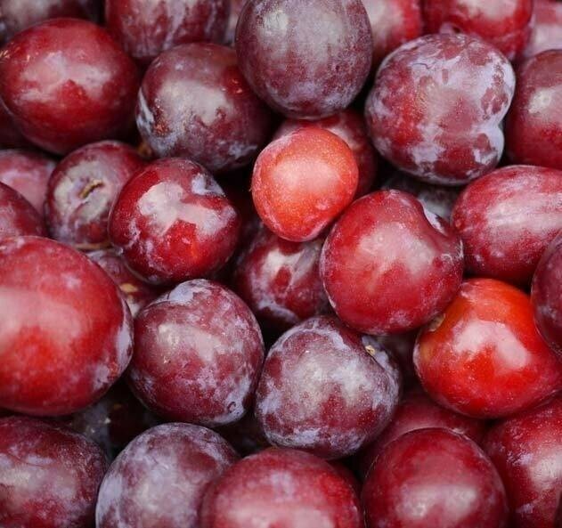 Red plums (1kg) برقوق أحمر