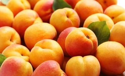 Apricots (1kg) مشمش