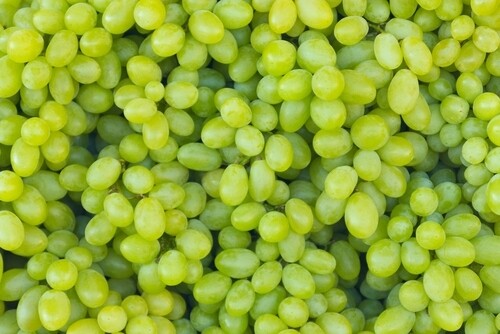 Green grapes (1 kg) عنب اخضر