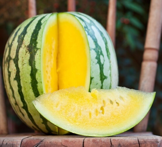Yellow seedless watermelon بطيخ أصفر بدون بذور