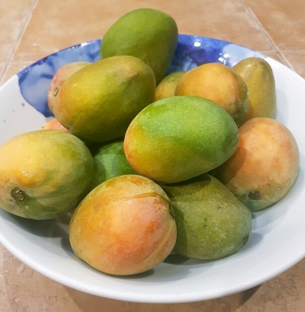 Alphonse mango (1kg) مانجو الفونس Alphonse mango (1kg) مانجو الفونس