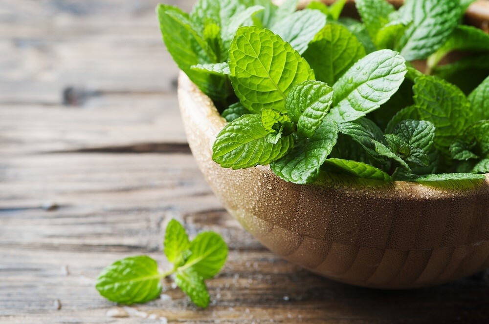 Mint (per wrap) (نعناع (ربطة Mint (per wrap) (نعناع (ربطة