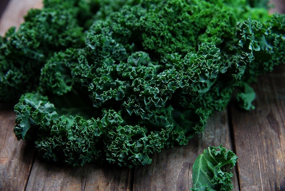 Green curly kale (100gm) كيل كيرلي اخضر Green curly kale (100gm) كيل كيرلي اخضر