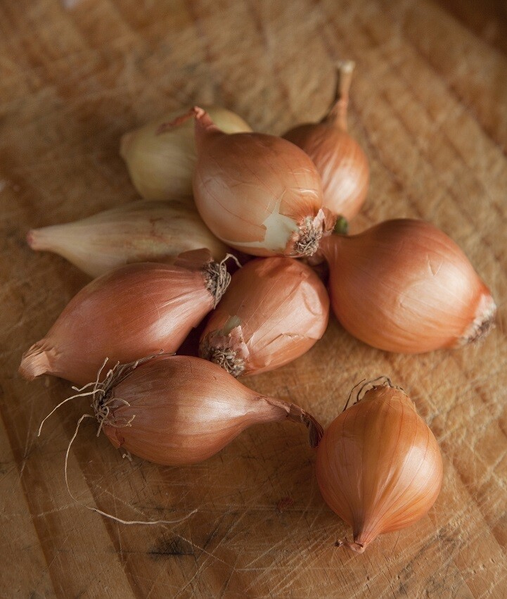 Baby onions (500g) بصل بيبي Baby onions (500g) بصل بيبي