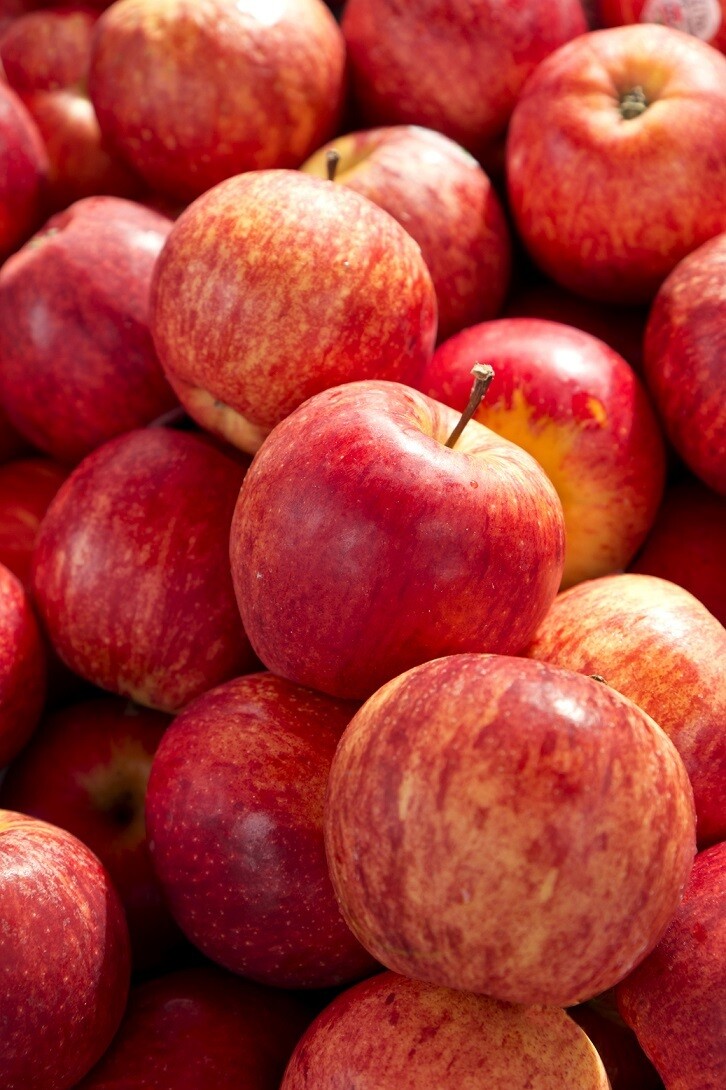 Gala apples - imported (1 kg) تفاح سكري - مستورد Gala apples - imported (1 kg) تفاح سكري - مستورد