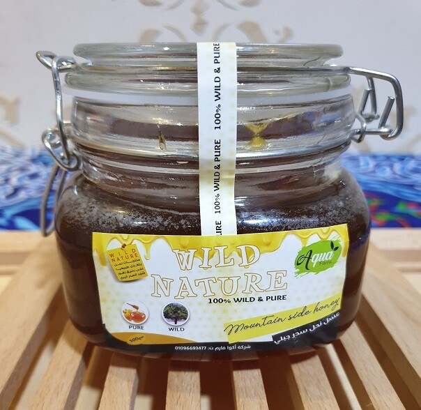 Sidr Mountain Honey (500g) عسل نحل سدر جبلي Sidr Mountain Honey (500g) عسل نحل سدر جبلي