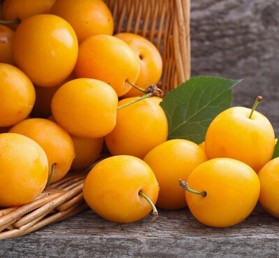 Yellow plums (1kg) برقوق أصفر