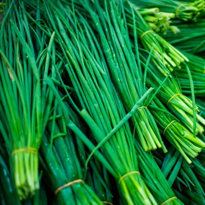 Chives (30g) ثوم معمر تشيفز Chives (30g) ثوم معمر تشيفز