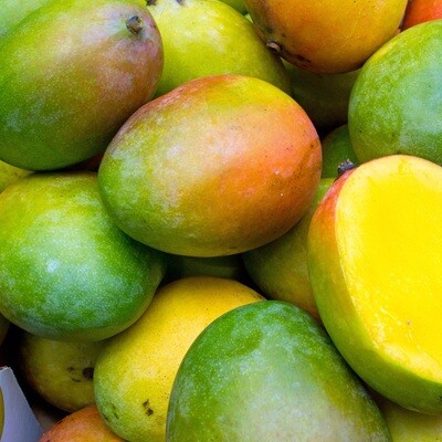 Alphonse mango (3 kg) مانجو الفونس Alphonse mango (3 kg) مانجو الفونس