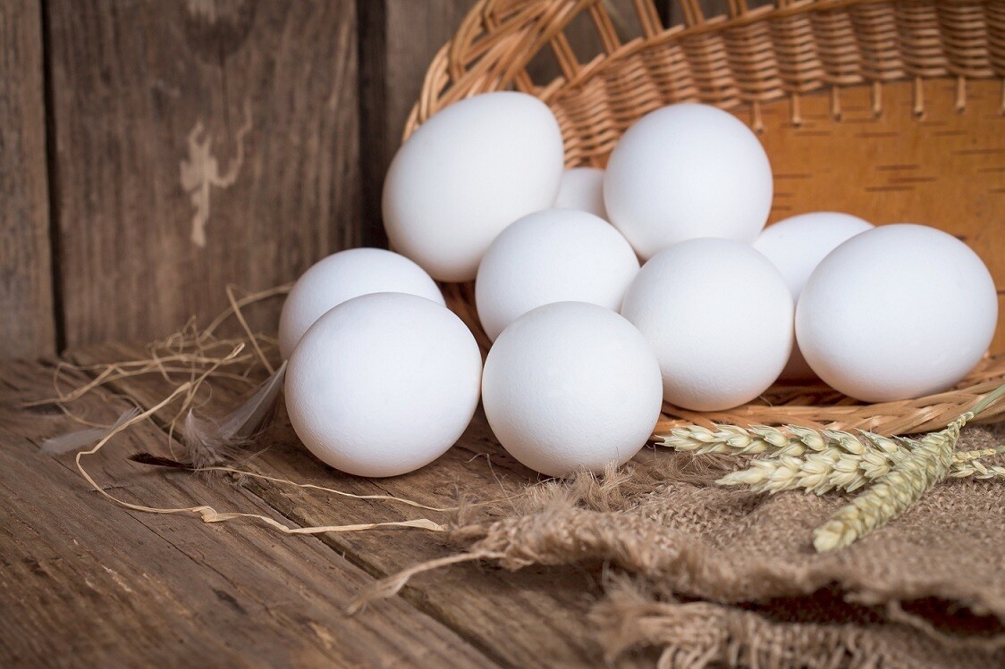 Balady White Eggs (10) بيض بلدى Balady White Eggs (10) بيض بلدى