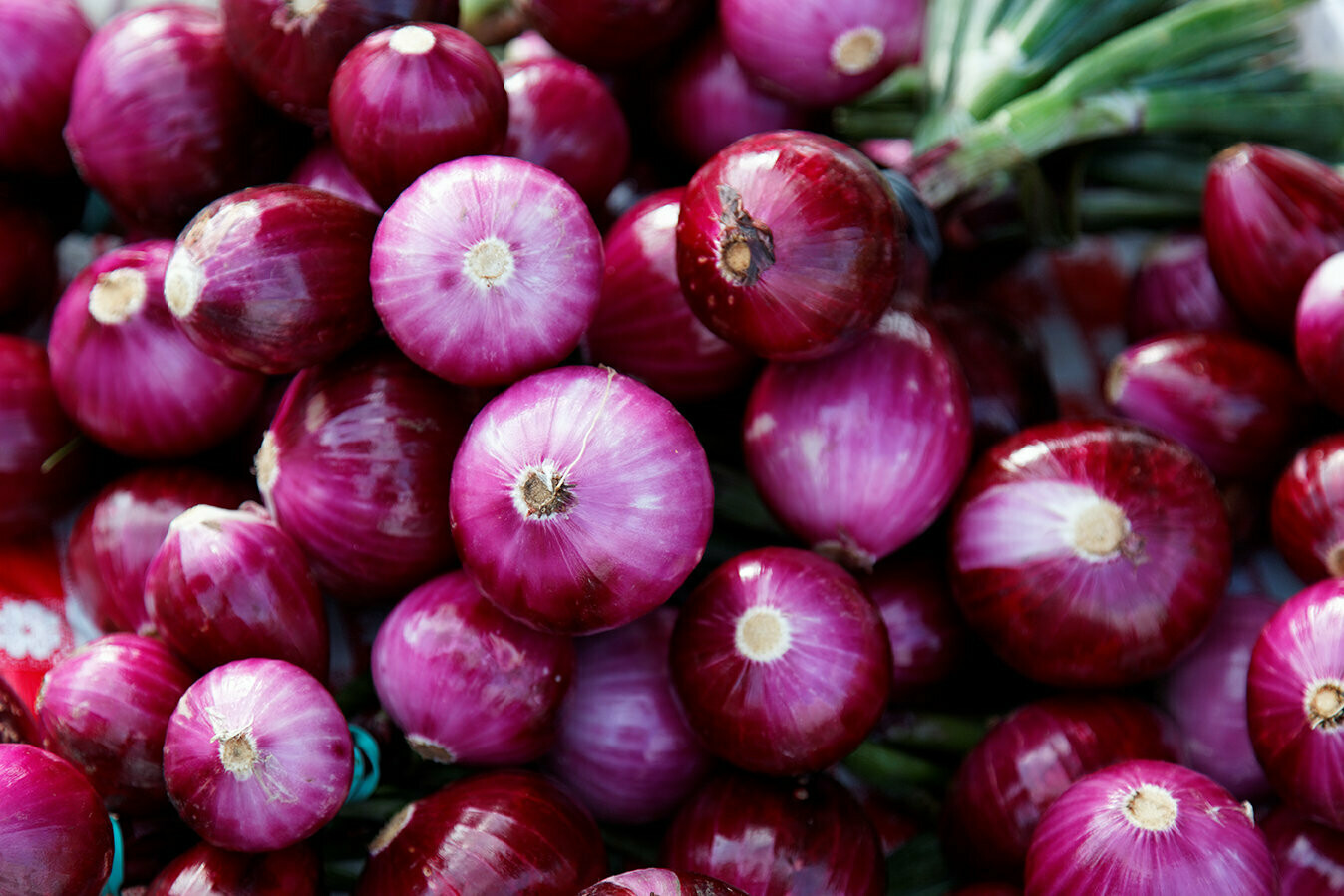 Red Baby Onions (500g) بصل احمر صغير