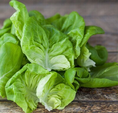 Butterhead lettuce (1 piece) بترهيد