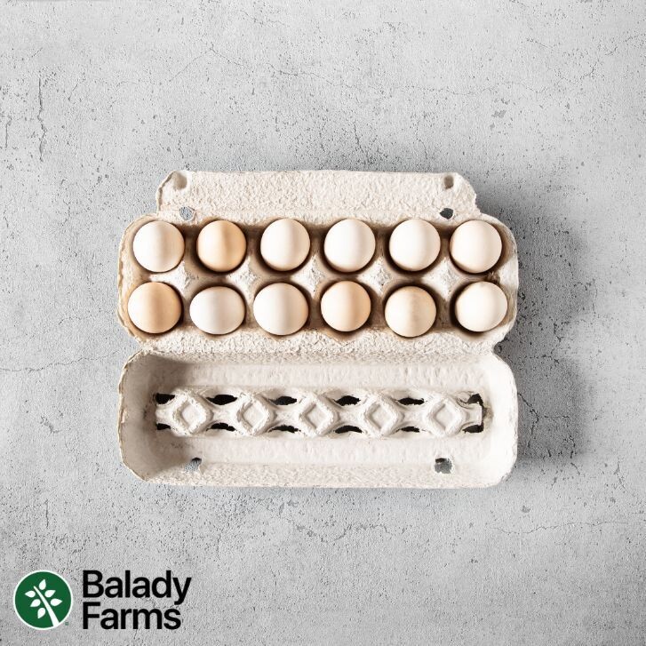 (Balady Farms) Balady Eggs (12 PCS) بيض بلدي