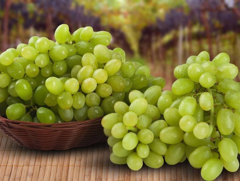 Grapes (green banity) (1 kg) عنب بناتي Grapes (green banity) (1 kg) عنب بناتي