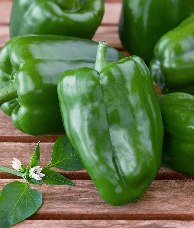 Green bell peppers (1 kg) فلفل رومي Green bell peppers (1 kg) فلفل رومي
