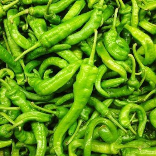 Green hot pepper (250 gm) فلفل حامي أخضر Green hot pepper (250 gm) فلفل حامي أخضر