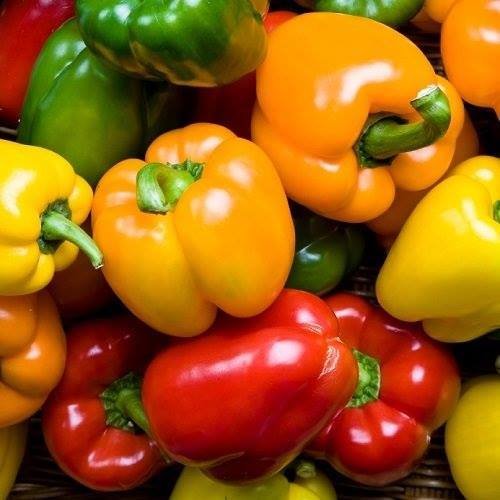 Mixed bell peppers (1kg) فلفل رومي مشكل Mixed bell peppers (1kg) فلفل رومي مشكل