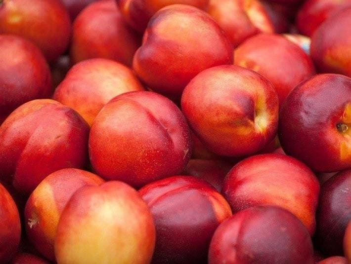 Nectarines - imported (500 gm) نكتارين - مستورد Nectarines - imported (500 gm) نكتارين - مستورد