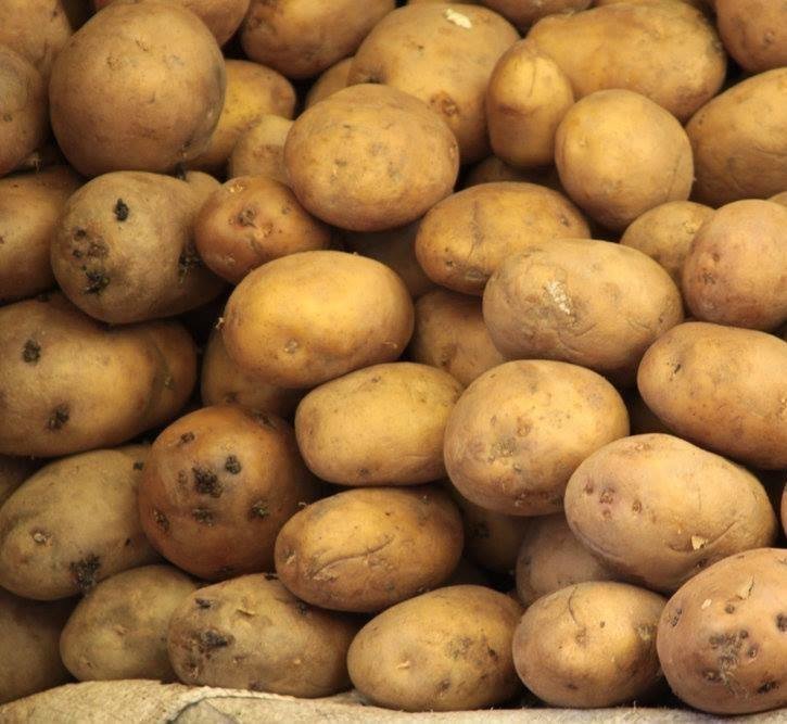 Potatoes (1 kg) بطاطس Potatoes (1 kg) بطاطس