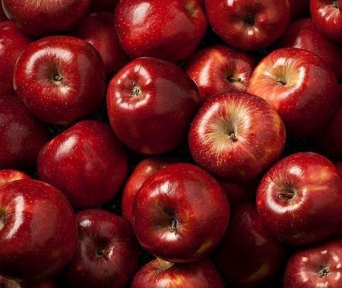 Red apples - imported (1 kg) تفاح احمر - مستورد Red apples - imported (1 kg) تفاح احمر - مستورد