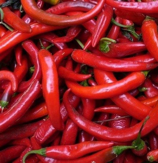 Red hot pepper (250 gm) فلفل حامي أحمر Red hot pepper (250 gm) فلفل حامي أحمر