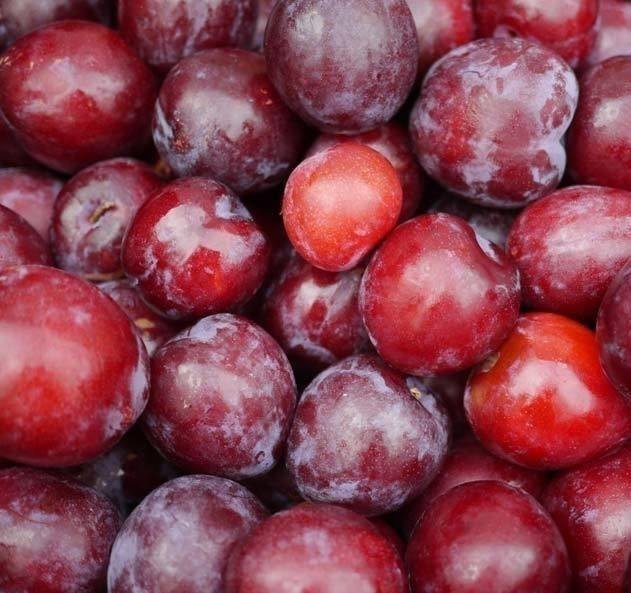 Imported Red Plums (1kg) برقوق أحمر مستورد Imported Red Plums (1kg) برقوق أحمر مستورد